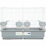 Gabbia per l'allevamento di uccelli Zolux Primo Cati - Per canarini mandarini - 57 x 34,5 x 41 cm - Bianco e grigio - immagine 2