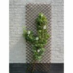 Enrejado extensible - NATURE - Mimbre natural FSC - 90 x 180 cm - immagine 2