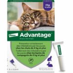 VENTAJA 80 - 6 pipetas antiparasitarias - Para gatos y conejos de 4 kg y más