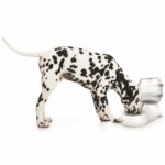 Dispensador de agua de cilindro M-PETS - 3500 ml - Blanco - Para perros - immagine 2