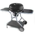 Barbacoa de carbón - Fieldmann - FZG 1014