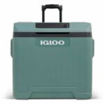 Nevera eléctrica - IGLOO - 12 V - 230 V - Abeto - 42 L - immagine 2