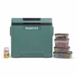 Nevera eléctrica - IGLOO - 12 V - 230 V - Abeto - 42 L - immagine 4