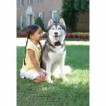 Valla antifuga para perros Super Radio Fence Prf-3004xw-20 - immagine 3