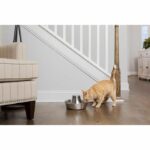 Fuente - PETSAFE - SEASIDE - Acero inoxidable - 1,8 L - immagine 3