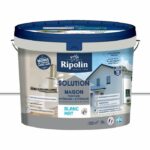 Solución hogareña blanca mate - RIPOLIN - 10 L