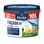 Pintura especial para fachadas - RIPOLIN - Blanco - Mate - 10 L