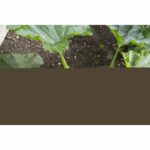 GARDENA Combisystem Manico Telescopico 90-145 - immagine 3