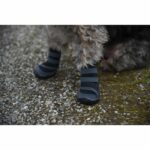 KERBL - Scarpe per cani - ACTIVE - Grigio/nero - Taglia M - immagine 4