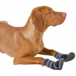 KERBL - Scarpe per cani - ACTIVE - Grigio/nero - Taglia XL - immagine 4