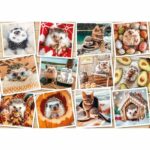 Puzzle da 1500 pezzi: foto di un simpatico animale