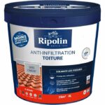 Antiinfiltrazione tetto grigio cemento - RIPOLIN - 4 L