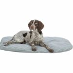 Materasso - TRIXIE - Farello - Peluche / Tessuto - 60 x 50 cm - Bianco / Grigio