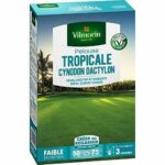 Semi di erba marina VILMORIN Les Tropicales Cynodon Dactylon - 500 g - immagine 2