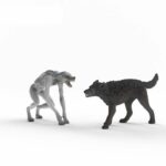 Figurina Lupo Mannaro vs Animagus, Schleich 14906 Harry Potter© Range