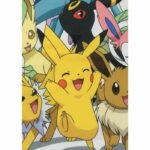 Coperta Sherpa - POKEMON - Evoluzioni - 100 x 150 cm