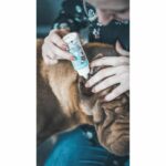 gatto dell'orecchio del cane Lotion - immagine 3