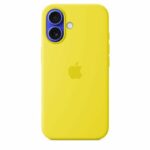 APPLE iPhone 16 - Custodia in silicone con MagSafe - Frutta Stella