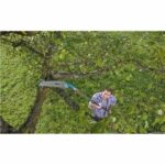 GARDENA Seghetto per Potatura Lama Fissa - immagine 3