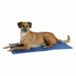 Tappetino rinfrescante - KERBL - CoolRelax - 50 x 40 cm - Blu - immagine 2