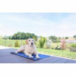 Tappetino rinfrescante - KERBL - CoolRelax - 50 x 40 cm - Blu - immagine 3