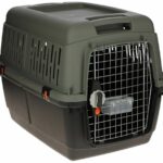 Contenitore per il trasporto - KERBL - Eco - Grigio/verde - 70 × 50 × 51,5 cm