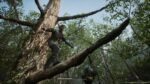 Metal Gear Solid Delta Snake Eater - Edizione Deluxe - Gioco PS5 - immagine 4