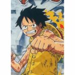 Coperta Sherpa - ONE PIECE - Marine Ford - 100 x 150 cm - immagine 3