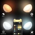 Philips Hue Go Lampe Connected Bluetooth portatile bianco e compatibile con colore, funziona con Alexa, Google e Apple Homekit - immagine 3