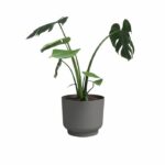 Vaso per fiori - ARTEVASI - Miami - 30 cm - 13 L - Antracite - immagine 2