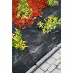 Tela pacciamatura 4,20x5 m - immagine 3