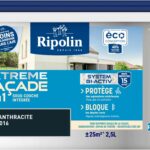 Pittura per facciate estrema 2 in 1 - Grigio antracite - Opaca - Ripolin - 2,5L