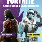FORTNITE Dark Fire & Ice Bundle - Gioco per Nintendo Switch - Codice in una scatola