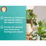 OR BRUN Fertilizzante piante da interno / verdi 250 ml - immagine 2