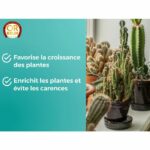 CONCIME ORO MARRONE CACTUS 250 ML - immagine 6