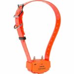 NUM'AXES - Solo collare - CANICOM - con plastiche arancioni e cinturino arancio fluo