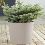 PoeTIC Pot Conical Element 40 - Limestone - immagine 2