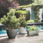 PoeTIC Round Element Pot 50 - Ardesia - immagine 4