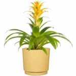 Vaso rotondo - GARDEN ID - Plano - Ø 25 - 7 L - H 22 cm - Giallo - immagine 2