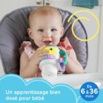 Palla attività Fisher-Price - HXF49 - immagine 5