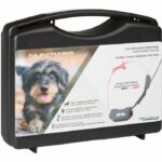 NUM'AXES Mini collare GPS per cani con funzione di addestramento - Arancione - immagine 3