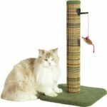 Tiragraffi per gatti - ZOLUX - Sisal - Con giocattolo pendente - 60 cm - Boreal - Verde