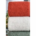 Set di 4 asciugamani - 50 x 85 cm - Bianco, Verde, Antracite, Arancione - immagine 3