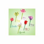 Canal Toys  BLOOM  Penna a forma di fiore  Glitter e inchiostro profumato  6 fiori da collezionare  BLM 001 - immagine 6