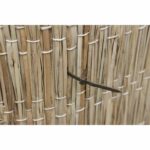 Collare di supporto per piante - NATURE - 15 cm - Confezione da 25 - Antracite - immagine 2