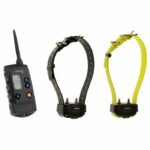 Kit di addestramento - NUM'AXES - CANICOM 800 - Per 2 cani - Nero / Giallo