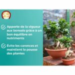 Fertilizzante per Bonsai - OR BRUN - OBRECLBONSAI250 - 250 ml - Migliora e favorisce la crescita - Prodotto in Francia - immagine 5