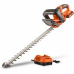 Tagliasiepi a batteria - POWERPLUS - 20V - Lama da 515mm - Spessore di taglio fino a 15mm - Impugnatura girevole