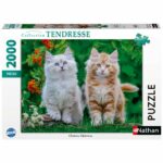 Nathan - Puzzle da 2000 pezzi - Gattini siberiani - Età 14+ - Puzzle di qualità premium - Collezione Tenerezza - 12001868