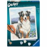 Ravensburger  CreArt 24x30 cm  Adulto  Dipingi con i numeri  Pastore australiano  Hobby creativo  12023114